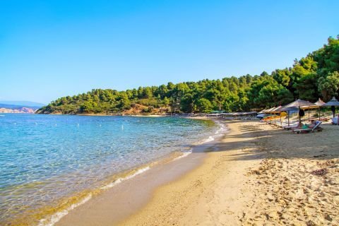 Agia Eleni Beach Skiathos: The Far-West Sandy Escape