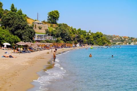 Vassilias Beach Skiathos: The Compact Cove Close to Town